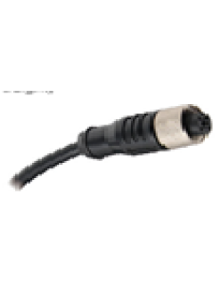 M12 Plug